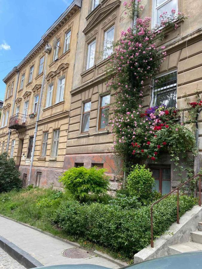 Izuminka V Centre Goroda Lviv Dış mekan fotoğraf